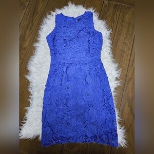 J. Crew Royal Blue Floral Lace Midi Dress